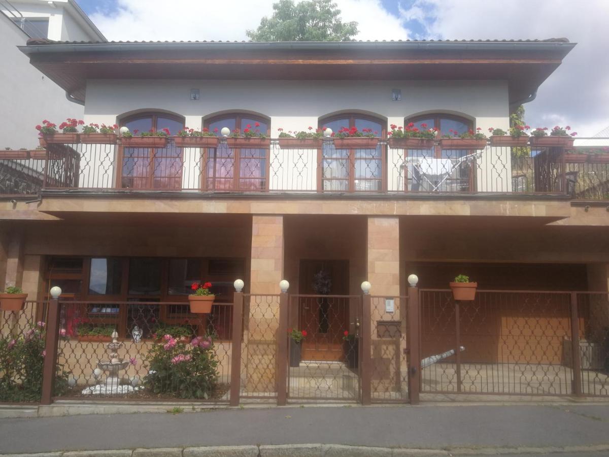 Vila Barrandov Прага Екстер'єр фото